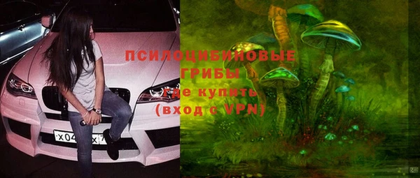 apvp Алексеевка
