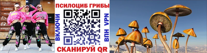 Псилоцибиновые грибы Cubensis  Джанкой 